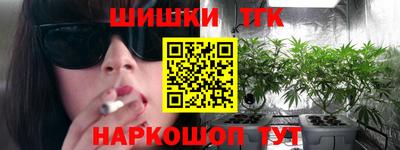 тгк Партизанск